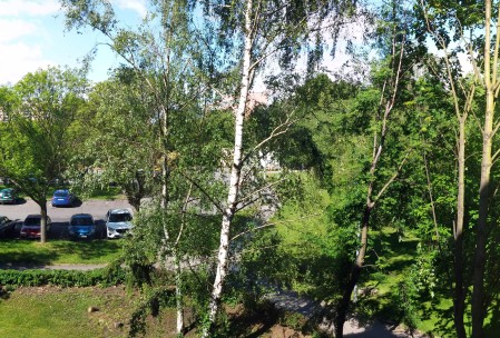 panorama LG G2